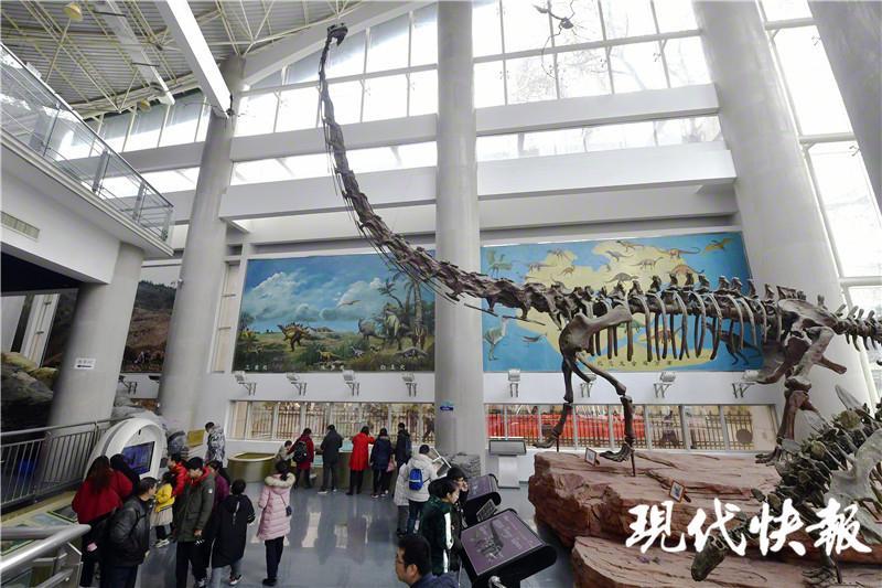 其中,南京地質博物館和南京古生物博物館相去不遠,兩館都有恐龍方面的