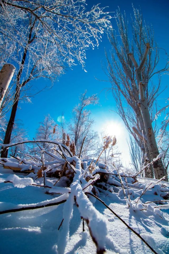 图片伊犁伊宁的冬天