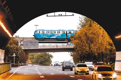 看到的轨道线别有洞天3号线跨江而过6号线列车行驶在"重庆森林"里在