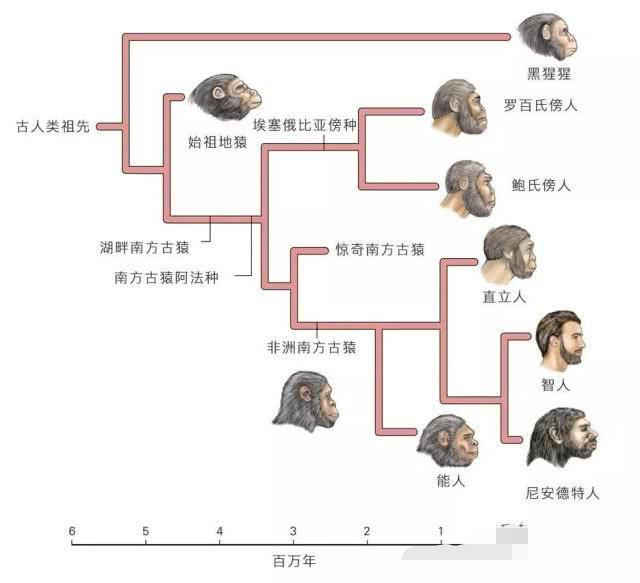 动物有毛人类为什么不长毛什么原因 真正目的被揭开 真相让人不敢相信 腾讯新闻