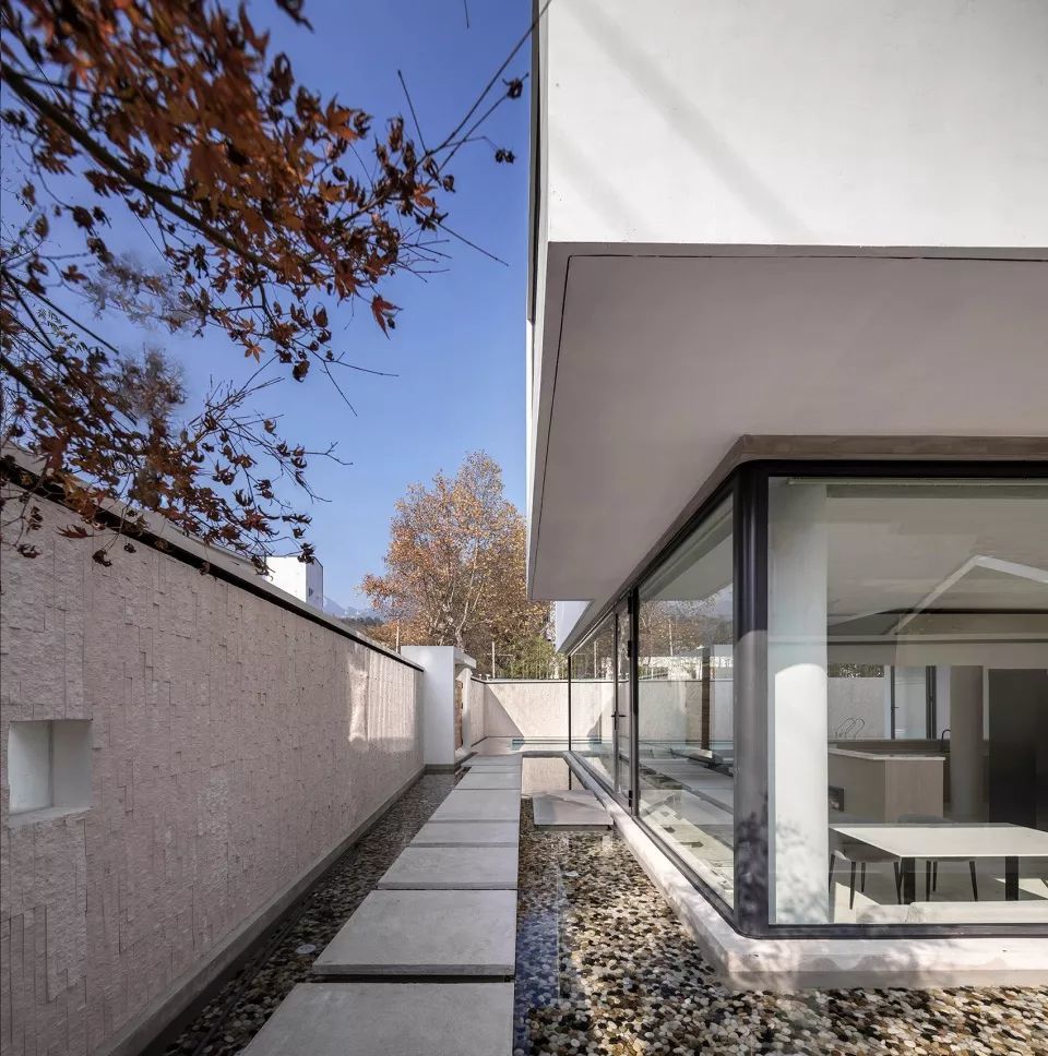 水中的一棵树 来野 莫干山民宿 腾讯新闻