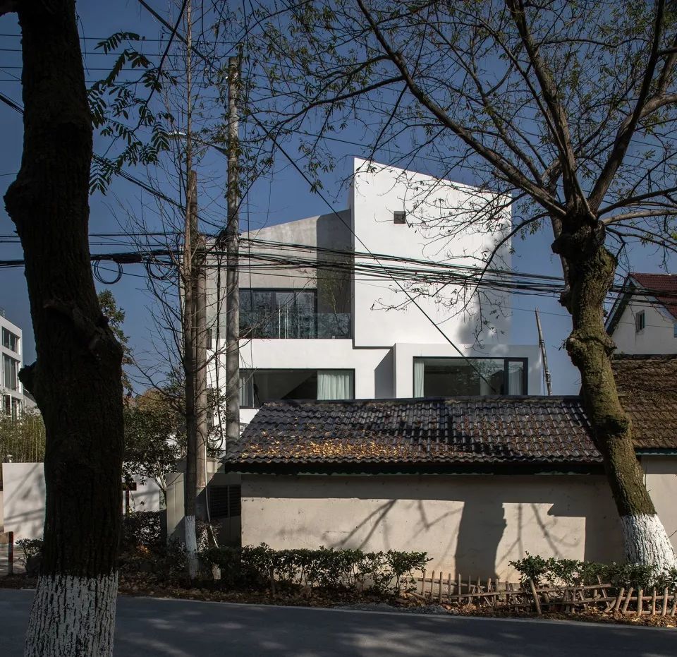 水中的一棵树 来野 莫干山民宿 腾讯新闻