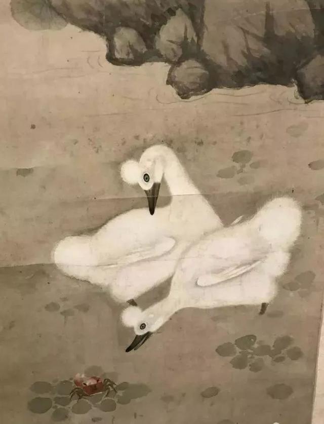 珍贵 它们消失了300多年 在镇江出现了 腾讯新闻