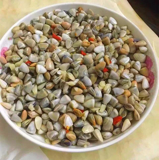 讲真我挺嫉妒惠来人