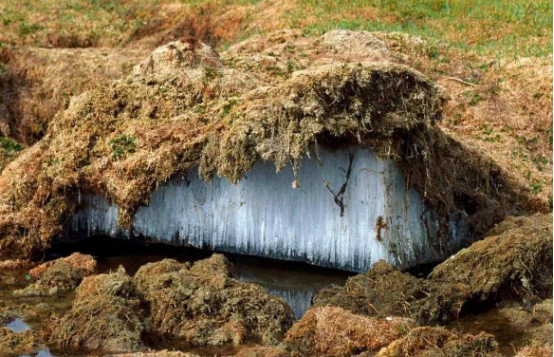 西伯利亚永久冻土融化,发现14300年前生物,专家:人类真该醒悟了