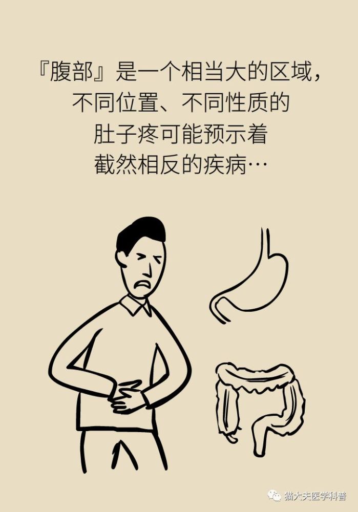 春节吃坏东西肚子疼不一定真是肚子疼7个位置疼可能是这些病