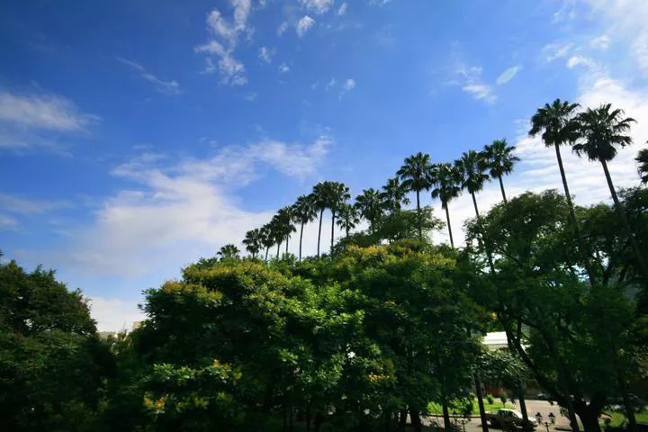 地球|图图有趣：阿根廷萨尔塔、秘鲁库里卡里斯冰川及咸海