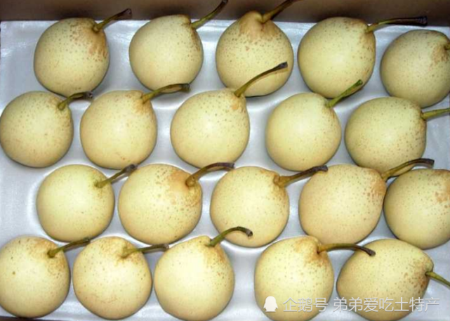 特产泊头鸭梨