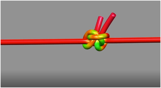 拓扑学·白鲟(psephurus gladius)是一种生活在长江中下游水域的