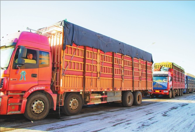 大型运输车把玉米送到粮食加工企业.