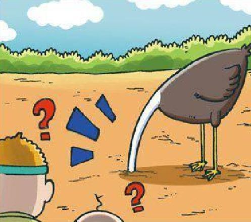 呆头短漫伊万斯和呆头在争论鸵鸟的头最后结果他们输了