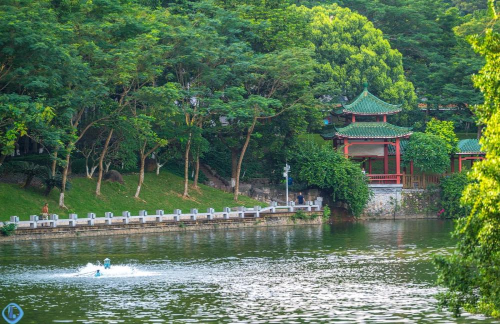 東莞免費的景點有哪些十大不要門票的景區推薦有你熟悉的嗎