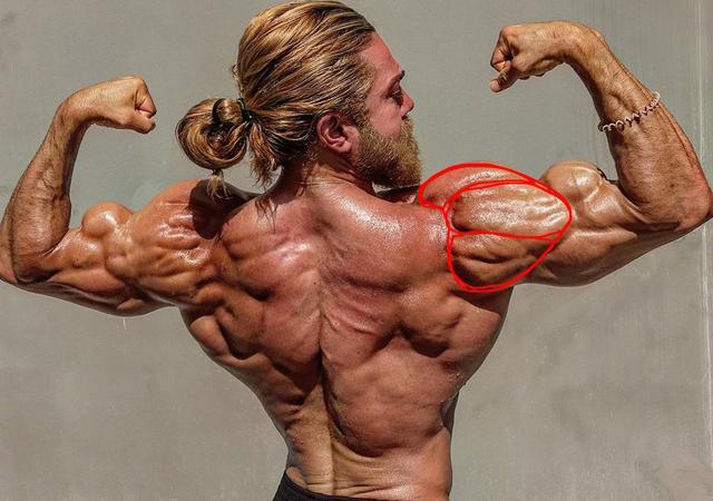 肌肉男体脂率常年维持5 线条分明 分享3个练肩动作 腾讯新闻