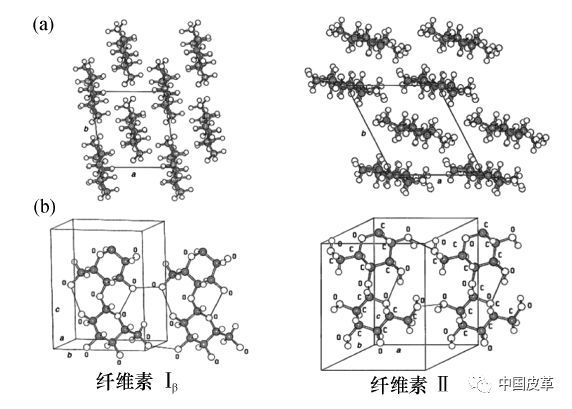 纤维素晶体结构及形态天然纤维素的结构图纤维素具有可降解的优点,有