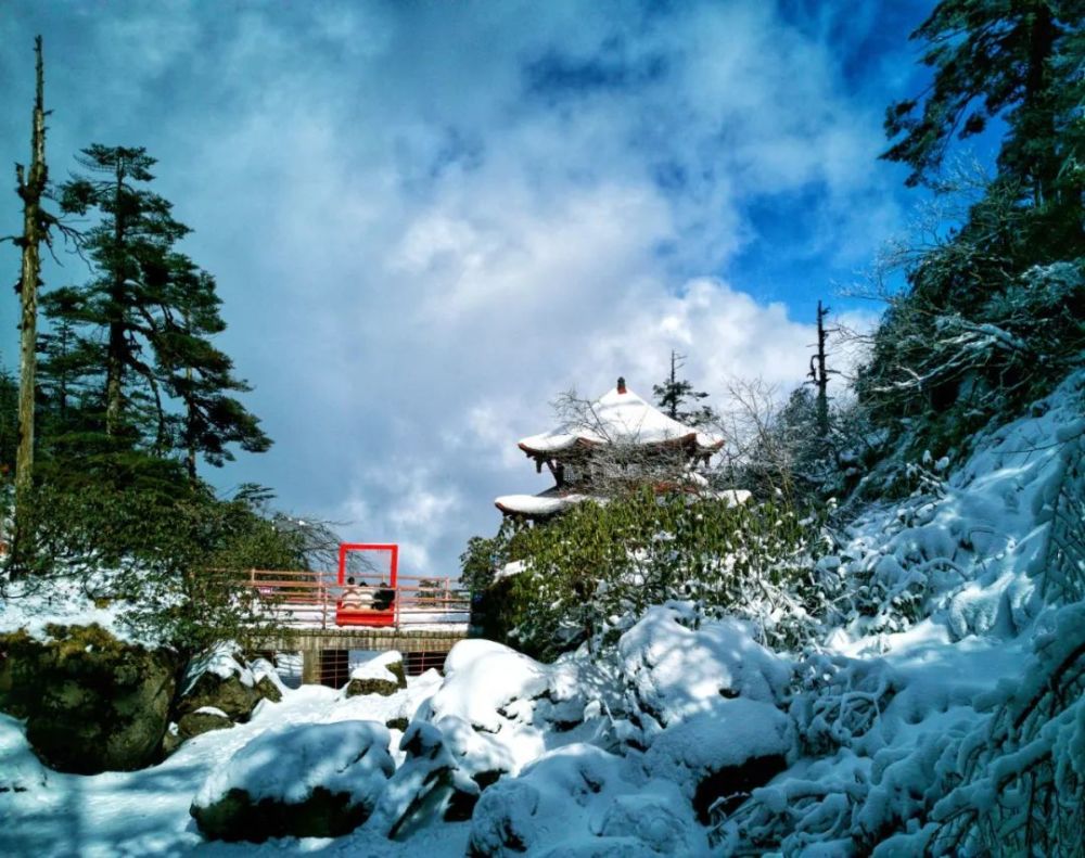 創建天府旅遊名縣丨這是一篇關於瓦屋山的最全攻略,花一秒收藏