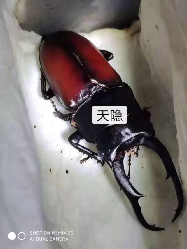 腾讯内容开放平台