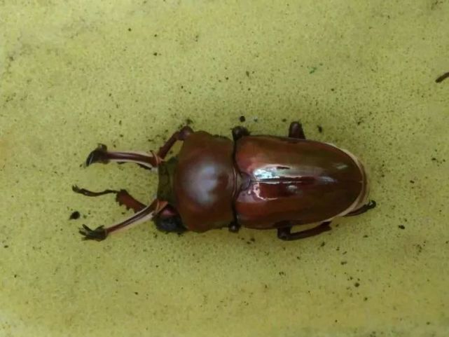 腾讯内容开放平台