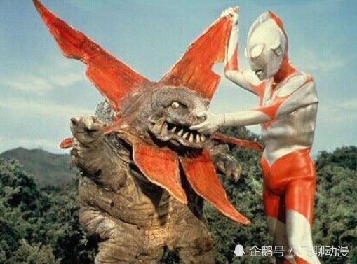 哥莫拉可爱到下不去手!