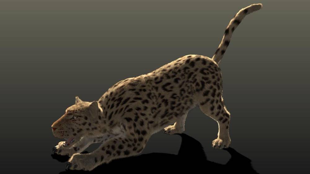 地球|地球原本没有人，那第一个“人”是怎么出现的？