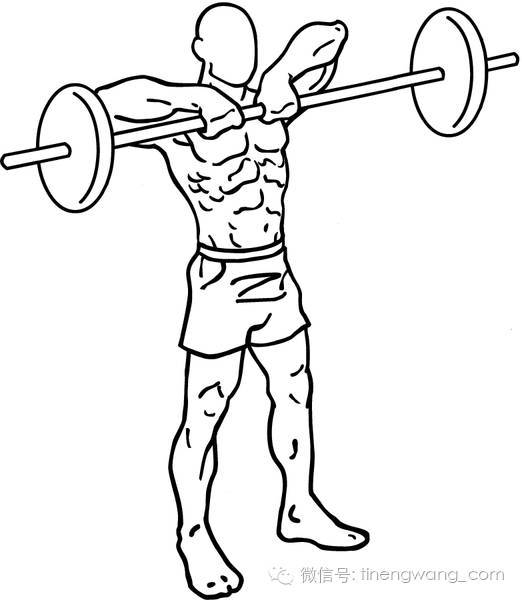 彻底放弃卷腹,你该试试更有效率的核心训练思路