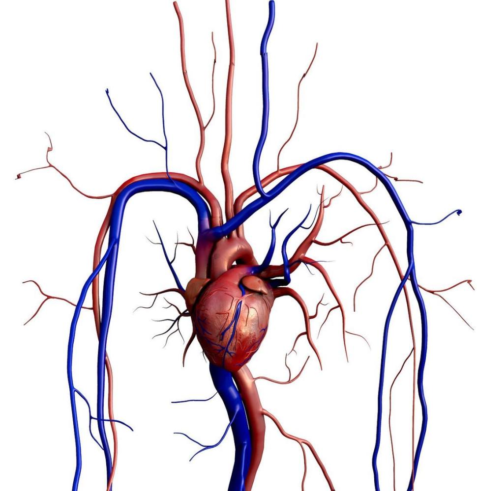血压的低压超过100但是高压才130要怎么办才好