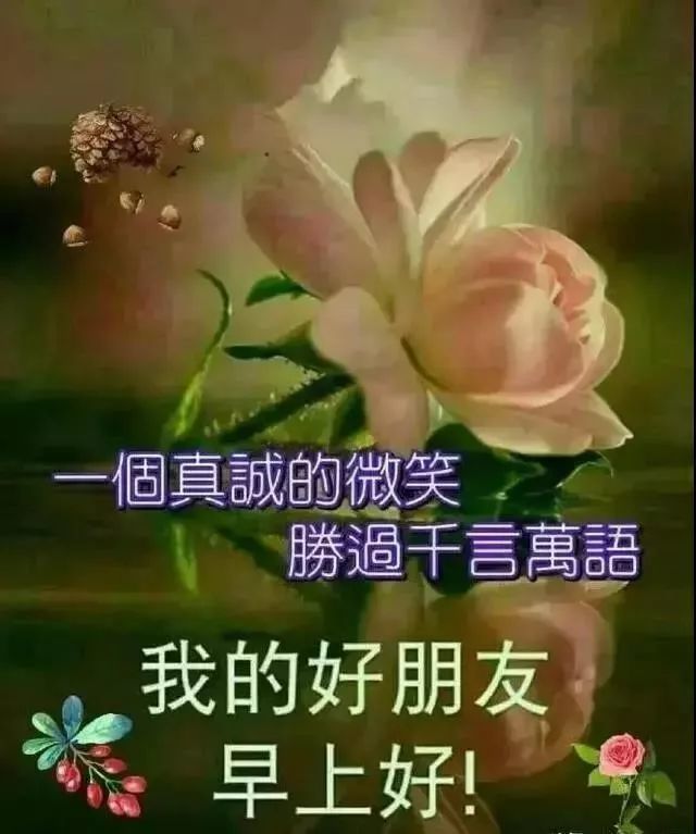 2020最新問候好朋友早安帶字帶祝福圖片願你新的一年幸福快樂每一天