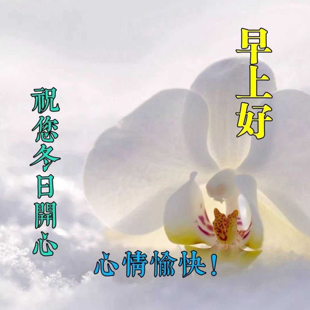 2021年11月27日冬日周六清晨问候大家早上好漂亮动态表情图片早晨好