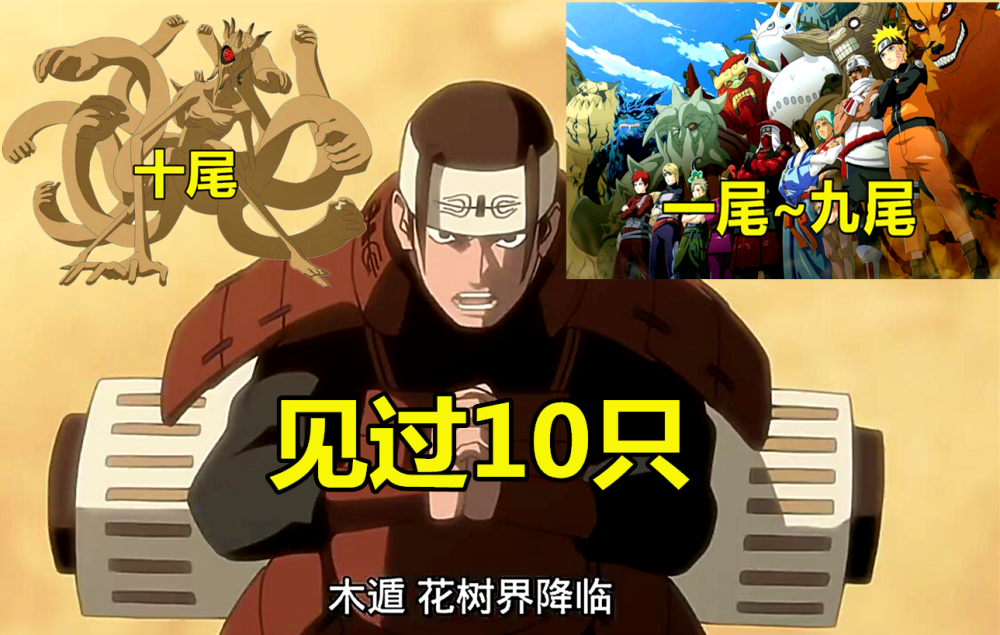 忍界谁见的尾兽最多?雏田见过3只,柱间见过10只,他:至少12只