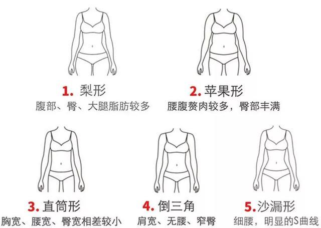 要了解自身的优势与劣势,首先要从身材开始,常见的身材分为5种类型