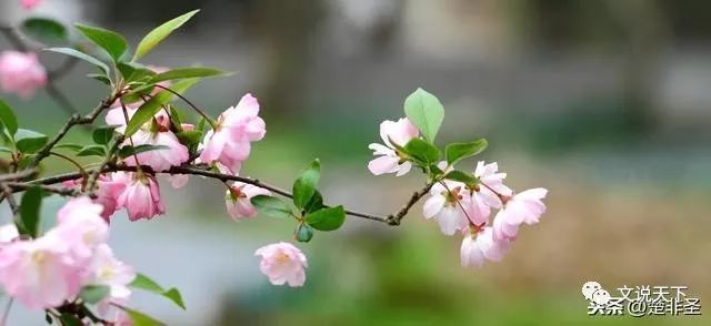 七绝·西施|楚非圣旧体新韵诗集