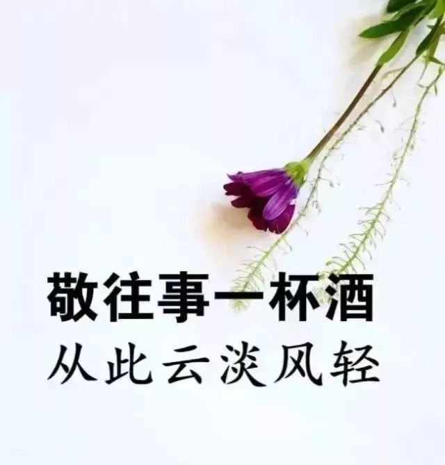 敬往事一杯酒,从此云淡风轻