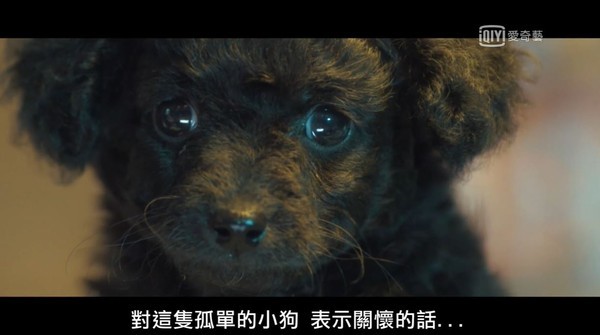 徐玄振代理教师取名《Black Dog》 揭晓