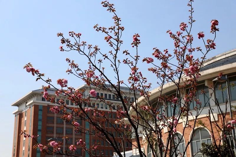 南陵中学原创校址像一幅画 其中有你的身影吗?