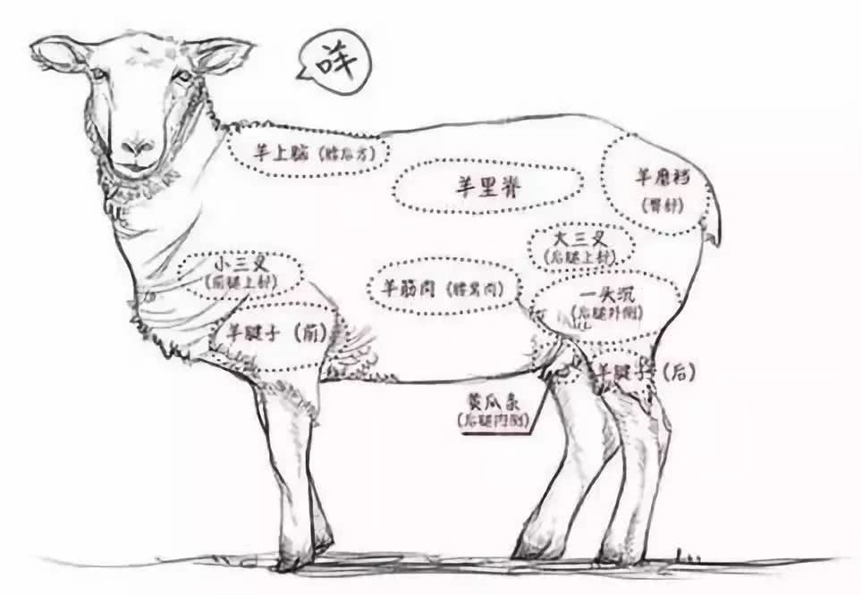 铜锅涮羊肉加盟