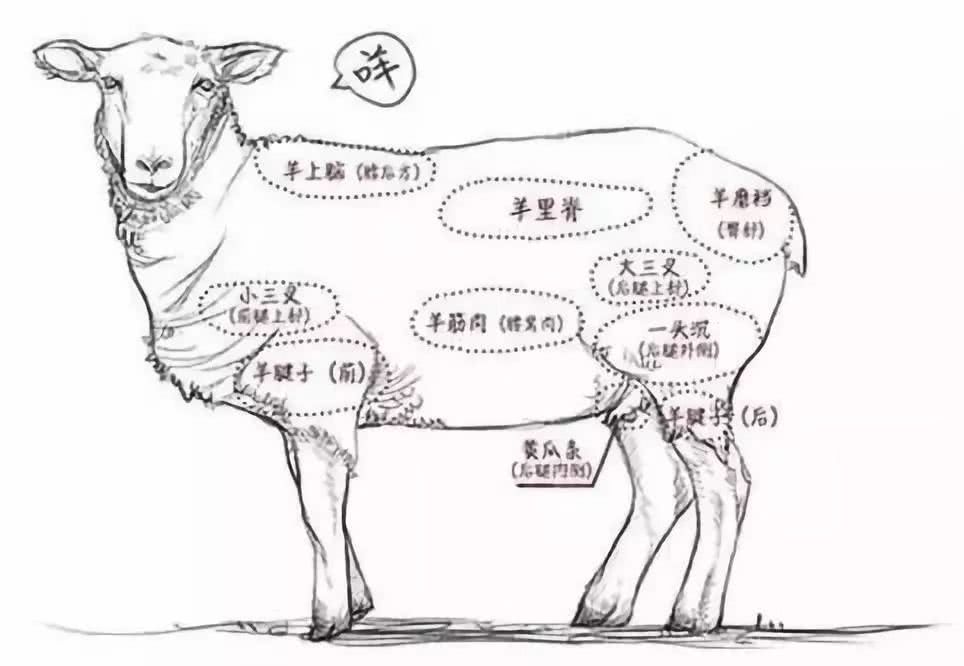 銅鍋涮羊肉加盟