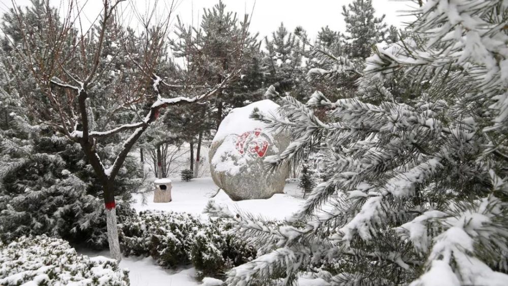 亭(二)仙女亭(一)雪壓枝頭如此多嬌英雄的肩膀望川亭杏苑飛雪帶著相機