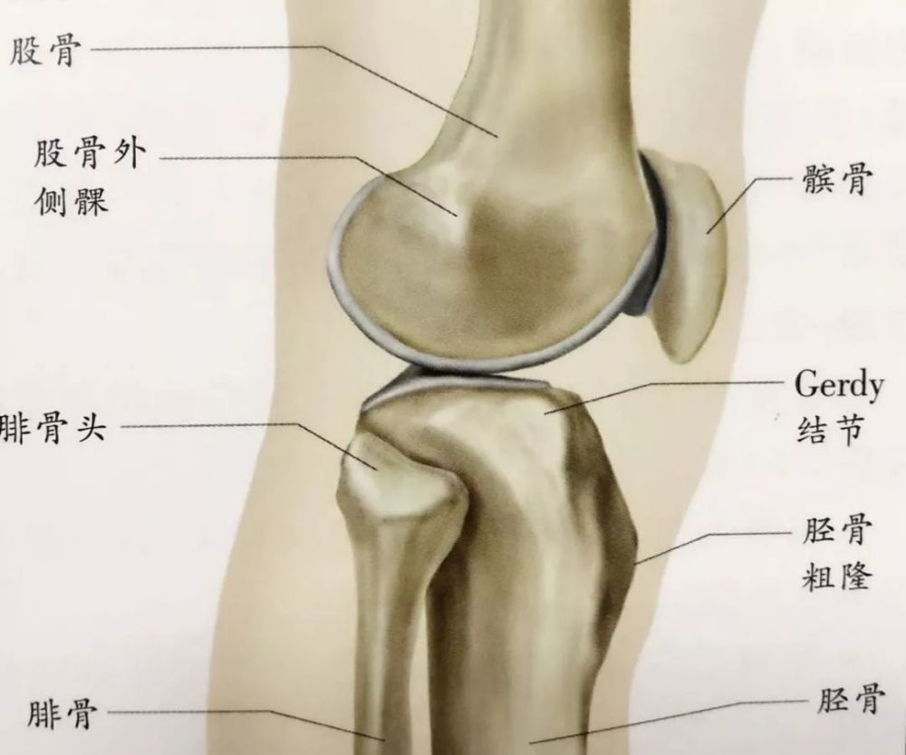 这种膝盖痛 不是半月板损伤 不是髌腱炎 而是 腾讯新闻