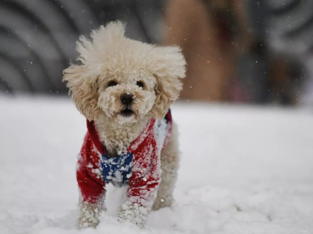 呂梁要下雪了雨夾雪小雪連下4天