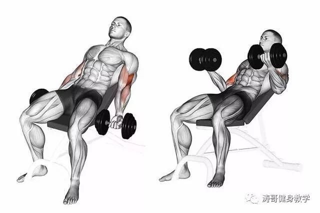 搞定肱二头肌训练!打造结实二头肌必学6大健身动作