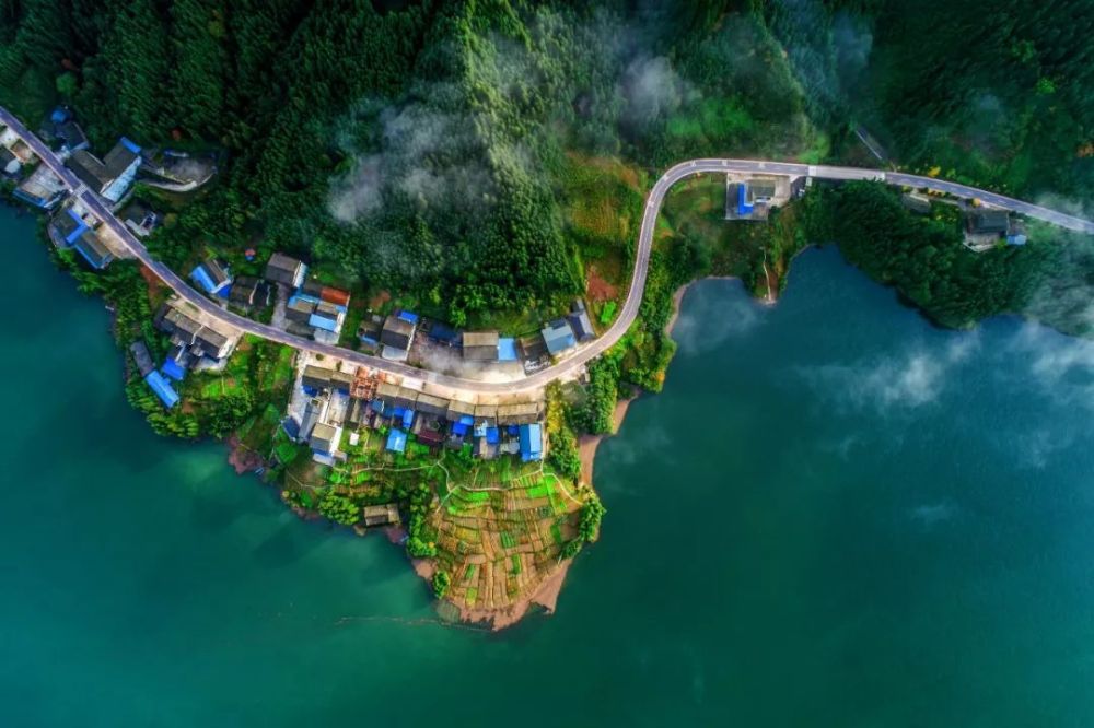 关于2019洪雅旅游资讯的信息