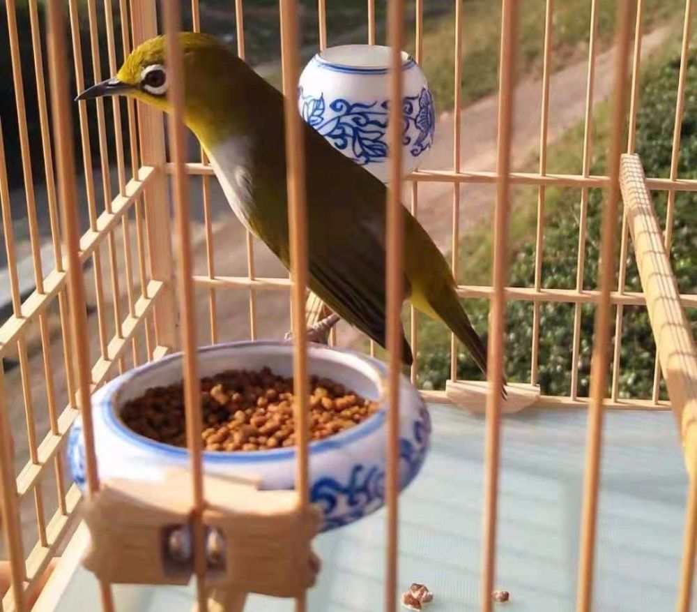 绣眼上性的具体表现_腾讯新闻