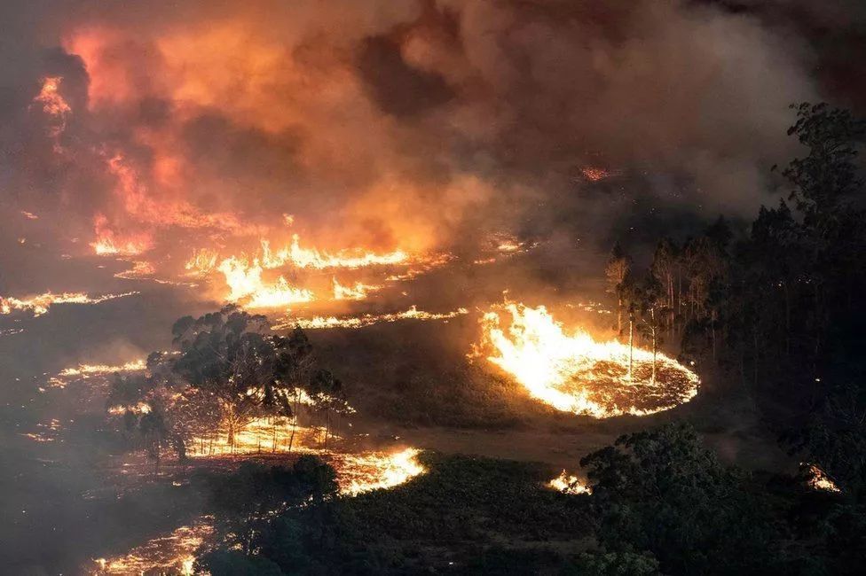 持续燃烧4个月已致24人死亡近5亿动物丧生澳大利亚这场山火越烧越大