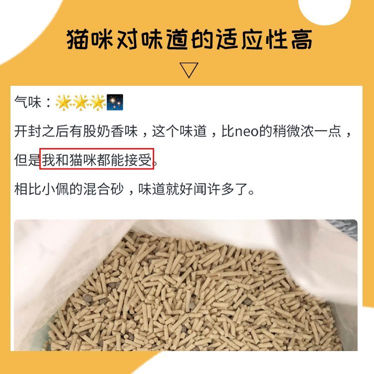 一袋未封口的猫砂足以杀死猫