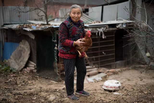 一位老人抱着她养的鸡在鸡舍前留影,她说搬到城里就不能养鸡了,拍张
