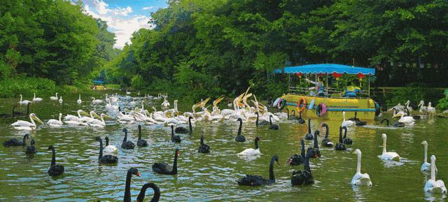 旺旺要开游乐园了是认真的吗