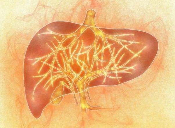 吃吃喝喝就能降心火,肝火,胃火,肺火,但吃的东西不同哦