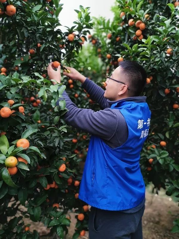 马山县有多少人口_南宁市各县区GDP、常住人口最新排名:马山县排在...