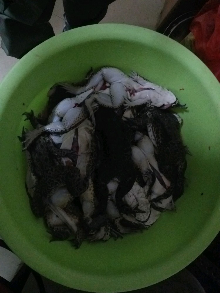 自己制作蛙小侠 腾讯新闻