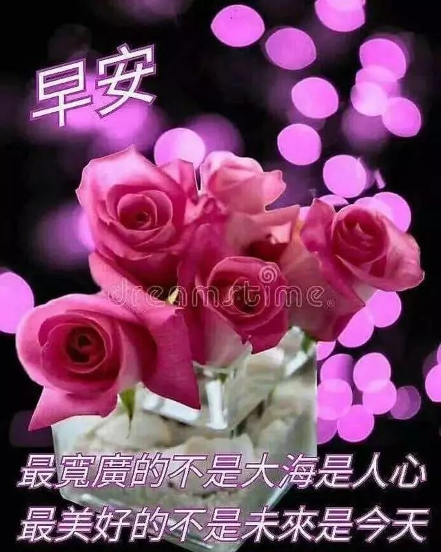 周二朋友圈早上好问候鲜花图片带字最新早上好暖心祝福语
