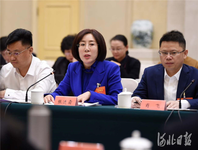 2020年1月6日,出席河北省政协十二届三次会议的张进霜委员(中),在审议